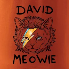 David Meowie