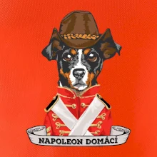 Napoleon domácí pes kříženec