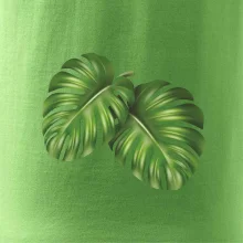 Monstera - dva listy