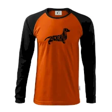 Jezevčík - Dachshund