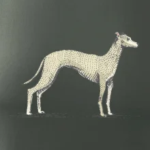 Vintage Whippet