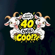 Těmhle holkám je 40, čučíš co?