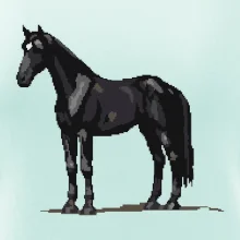 Černý kůň pixel