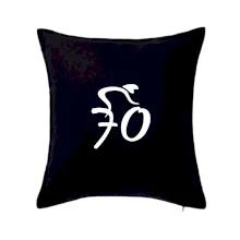 Cyklista slaví sedmdesátku (70)