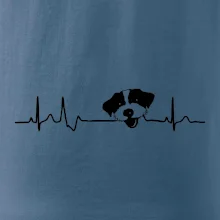 Jack Russell Terriér hrubosrstý Ekg