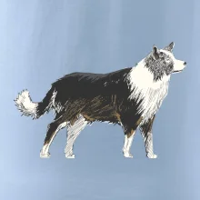 Border kolie kreslená