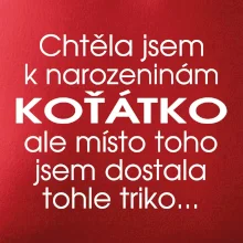 Chtěla jsem dostat k narozeninám koťátko