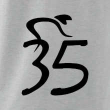 Cyklista slaví pětatřicítku (35)