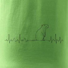 EKG křivka kapybara