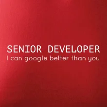 Senior developer google better than you
