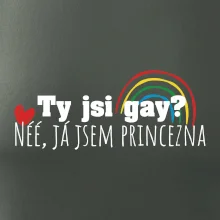 Gay princezna