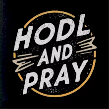Bitcoin Hodl and pray Bitcoin Hodl and pray