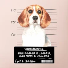 Lump a darebák bígl