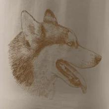 Husky - hlava z boku