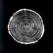 Letokruhy 35 bez věku