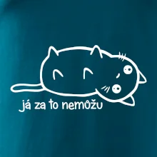 Já za to nemůžu