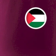 Palestina vlajka prso