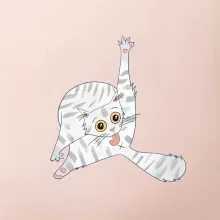 Kočka čistotná (studio-arte.cz)