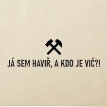 JÁ SEM HAVIŘ, A KDO JE VIĆ?!﻿