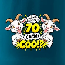 Těmhle holkám je 70, čučíš co?