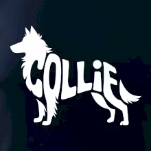 Colie nápis v těle