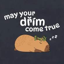 May your dřím come true