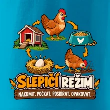 Slepičí režim od krmení po sběr vajec