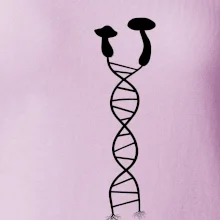 DNA houby DNA houby