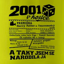 2001 v kostce