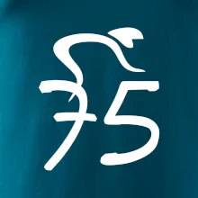 Cyklista slaví pětasedmdesátku (75)