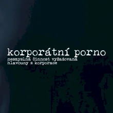 Čeština 2.0 - korporátní porno