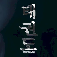 Taekwondo maskáčový nápis