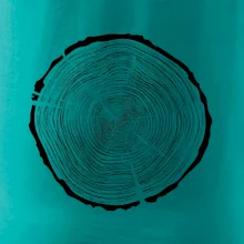 Letokruhy 85 bez věku