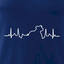 Stafordšírsky bulteriér EKG