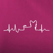 Jorkšírský teriér EKG