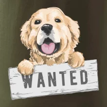 Zlatý retriever - štěně wanted