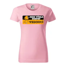 Jsem týhle stavby vedoucí