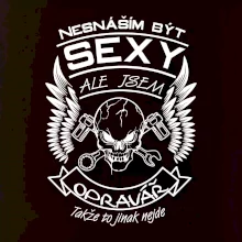 Nesnáším být sexy - opravář