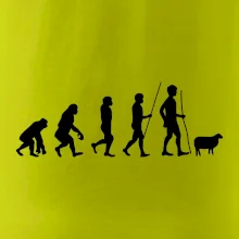 Evoluce pastevec ovcí