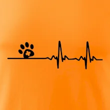 Veterinář EKG