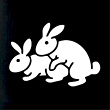 Dupající králící