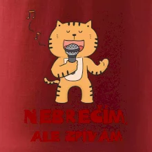 Nebrečím, ale zpívám