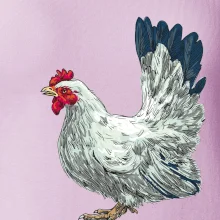 Slepice kreslená bílá