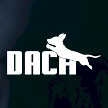 Jezevčík Dach