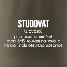 Studovat