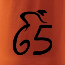 Cyklista slaví pětašedesátku (65)