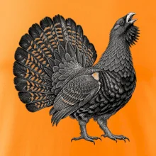 Zvířata Šumavy – Tetřívek obecný