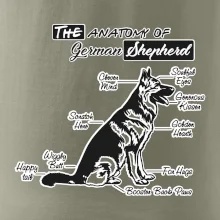Německý ovčák - Anatomie