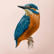 Lednáček kreslený