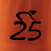 Cyklista slaví pětadvacítku (25)